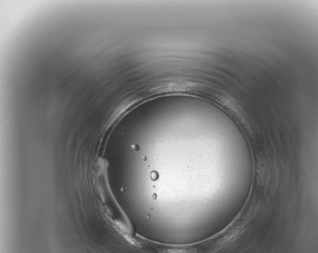 X0000061720794200512091959