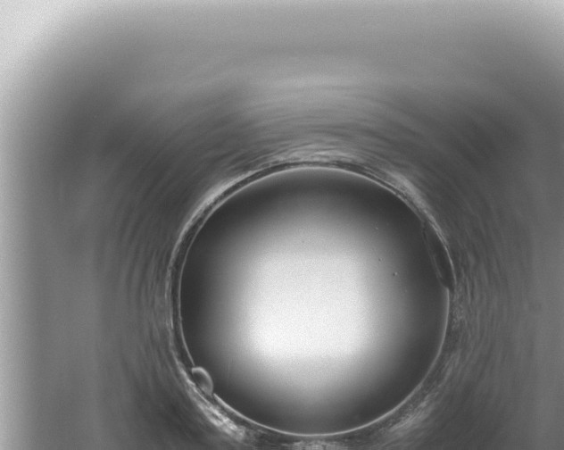 X0000061720795200512091959