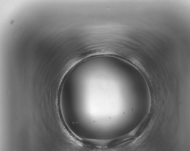 X0000061720797200512091959