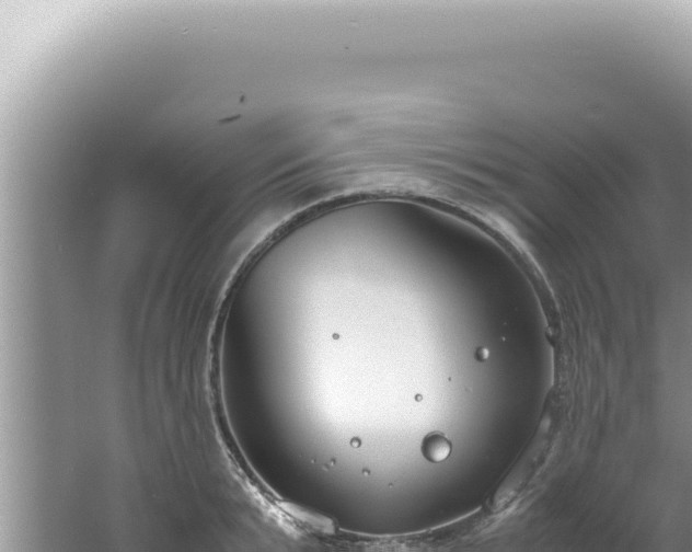 X0000061720799200512091959