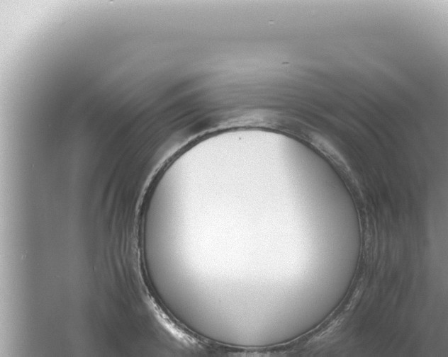 X0000061720800200512091959