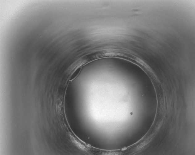 X0000061720801200512091959