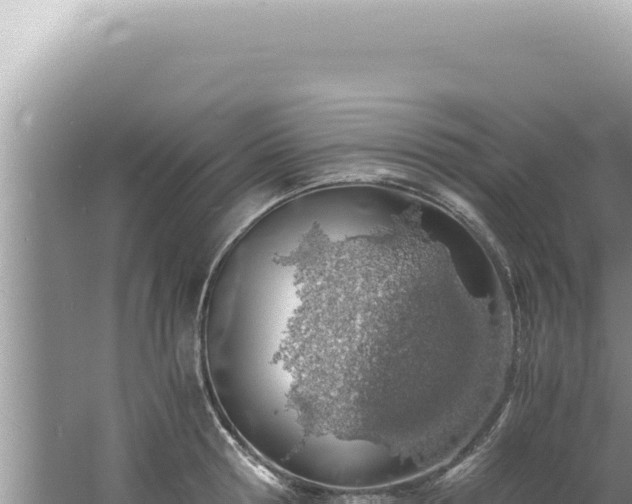 X0000061720802200512091959