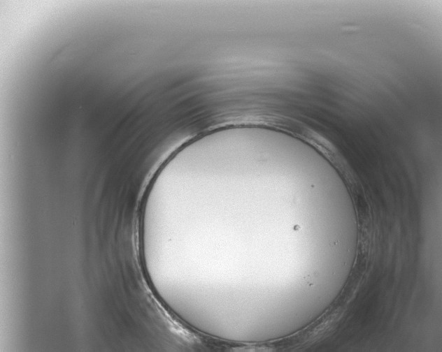 X0000061720804200512091959