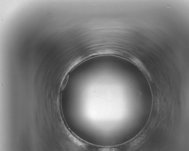 X0000061720805200512091959