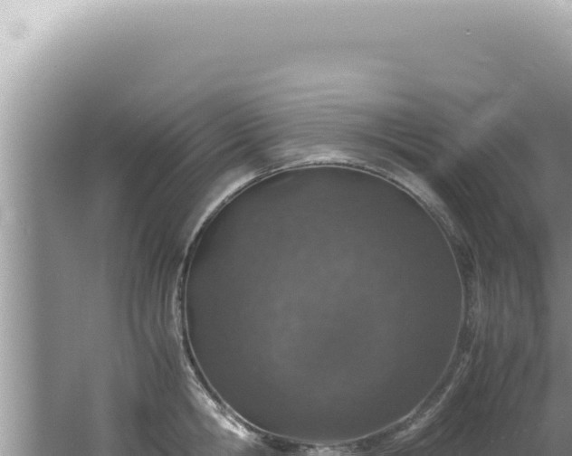 X0000061720806200512091959