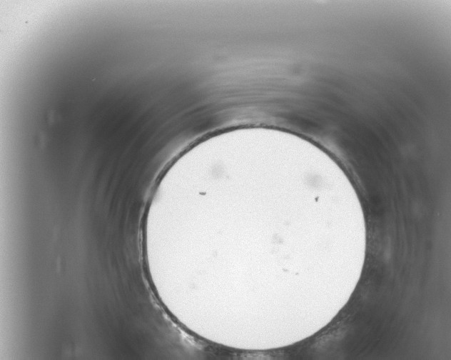 X0000061720807200512091959