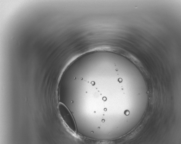 X0000061720808200512091959