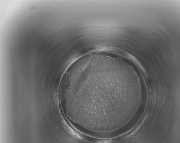 X0000061720810200512091959