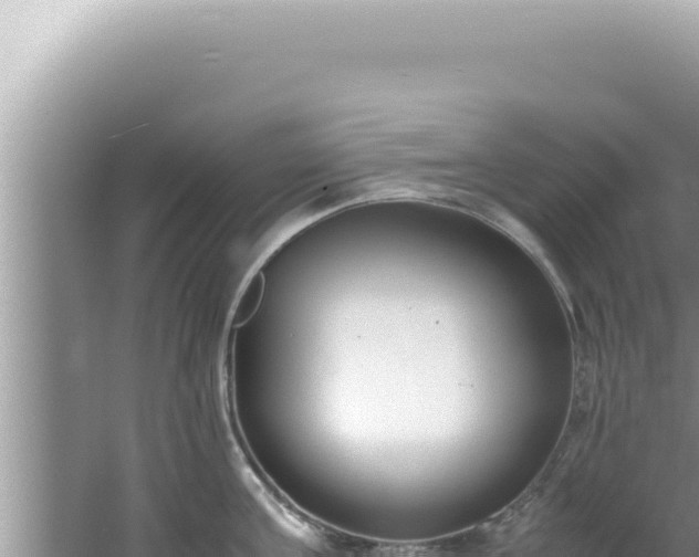 X0000061720811200512091959