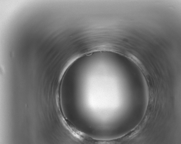 X0000061720812200512091959