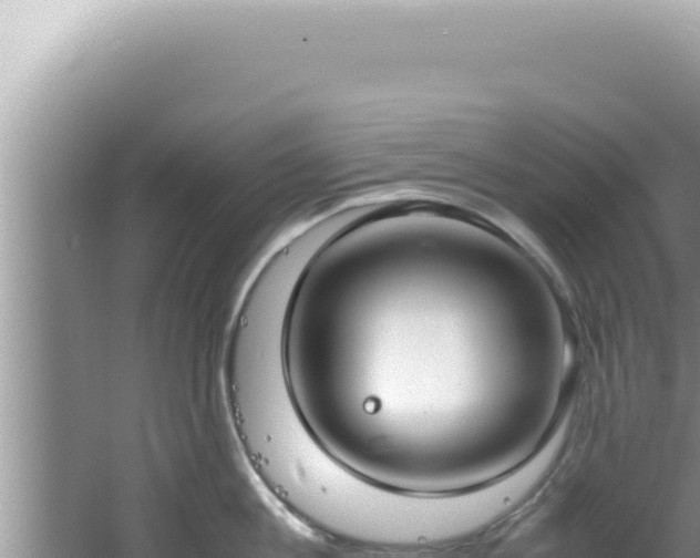 X0000061720813200512091959