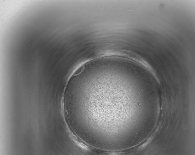 X0000061720814200512091959