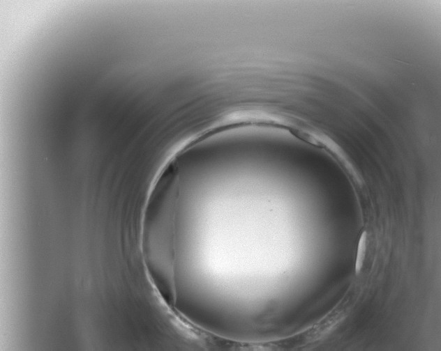 X0000061720815200512091959