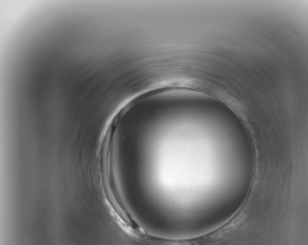 X0000061720816200512091959