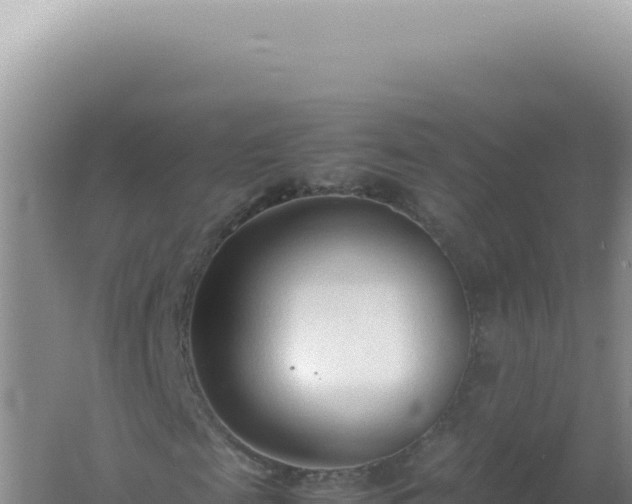 X0000061720817200512091958