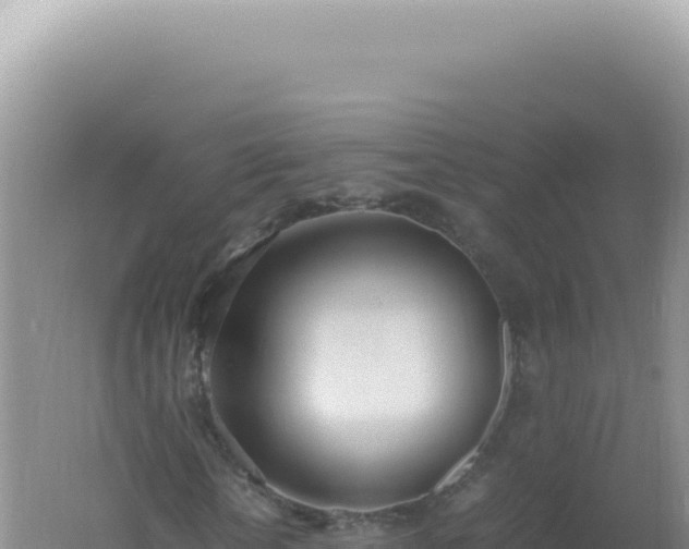 X0000061720818200512091958