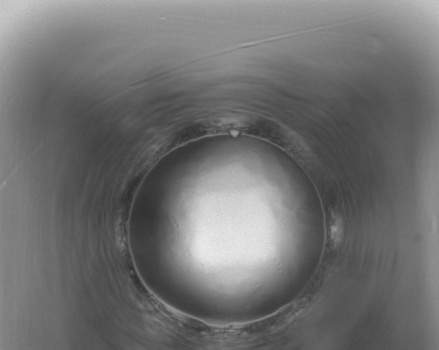 X0000061720819200512091958