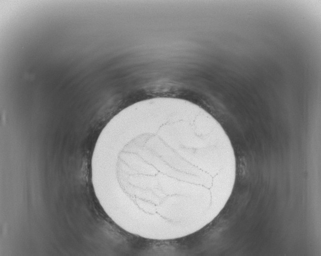 X0000061720820200512091958