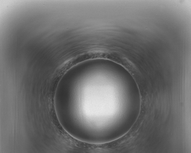 X0000061720821200512091958