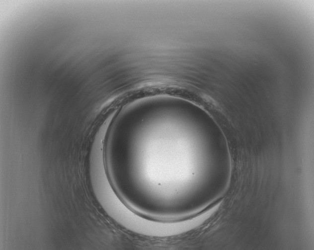 X0000061720822200512091958