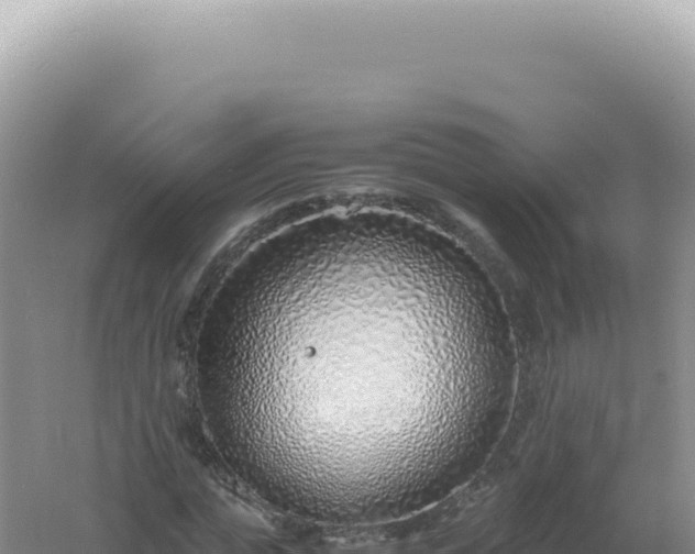 X0000061720823200512091958