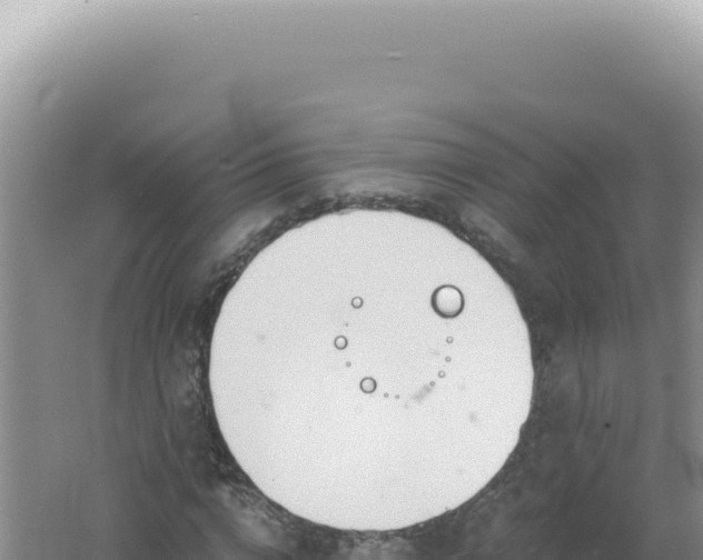 X0000061720824200512091958