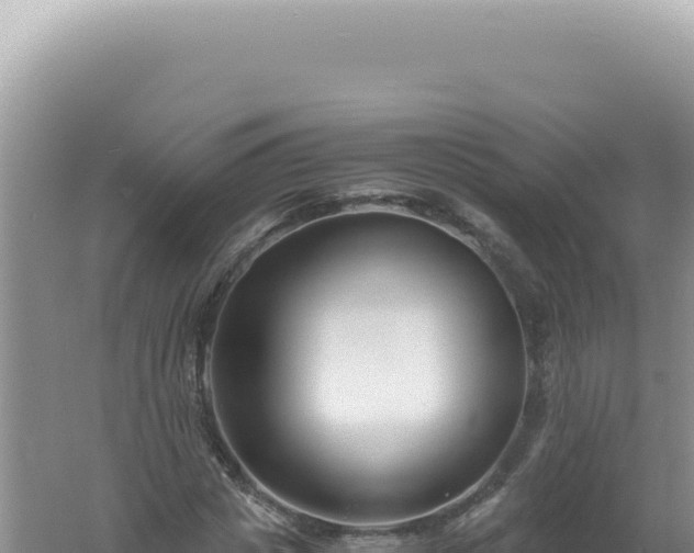 X0000061720825200512091958