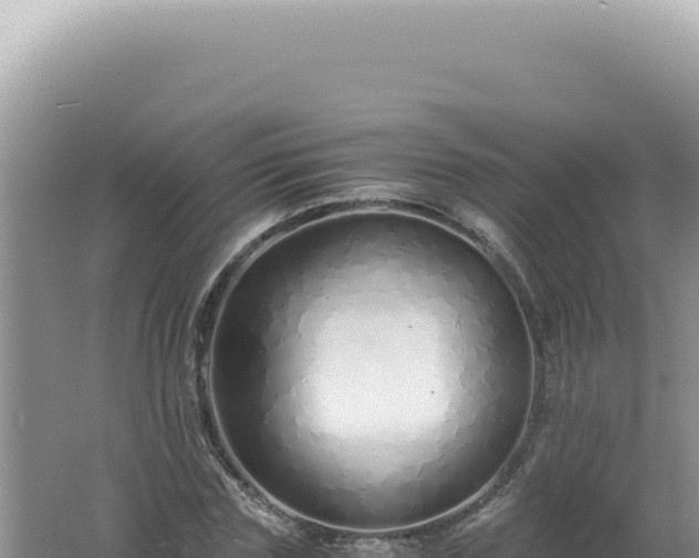 X0000061720827200512091958