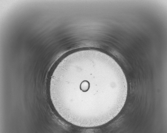 X0000061720828200512091958