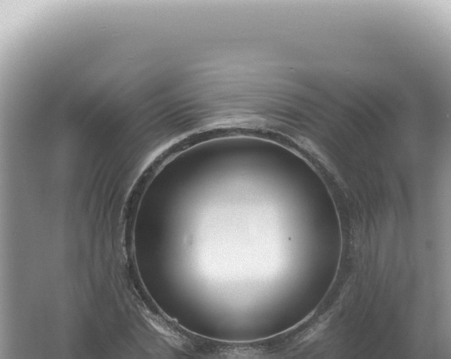 X0000061720830200512091958