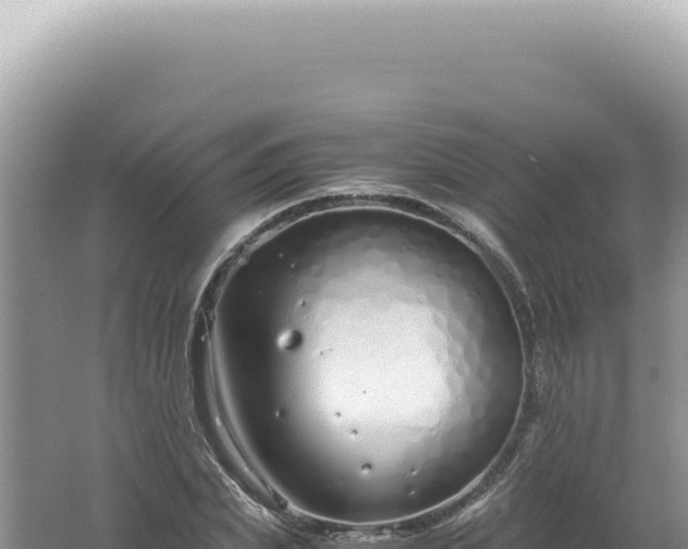 X0000061720831200512091958