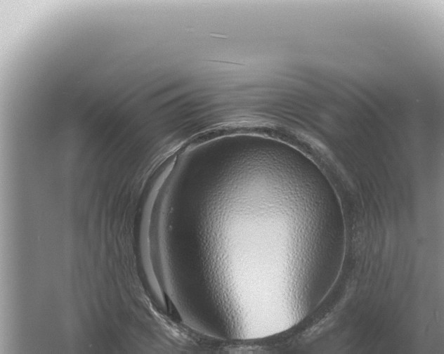 X0000061720833200512091958