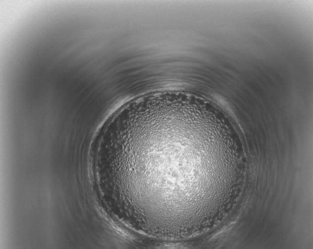 X0000061720835200512091958