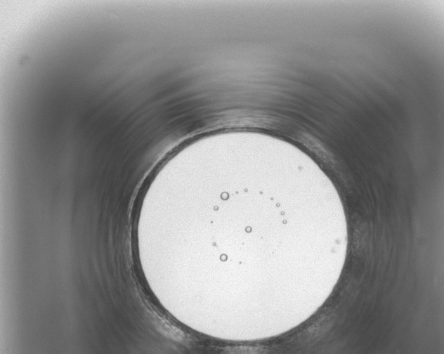 X0000061720836200512091958