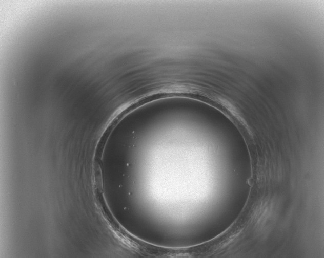 X0000061720837200512091958