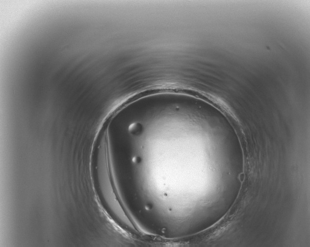 X0000061720839200512091958