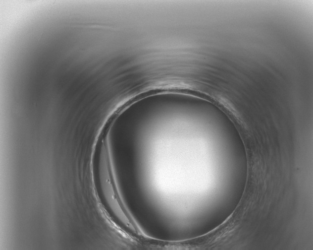 X0000061720840200512091958