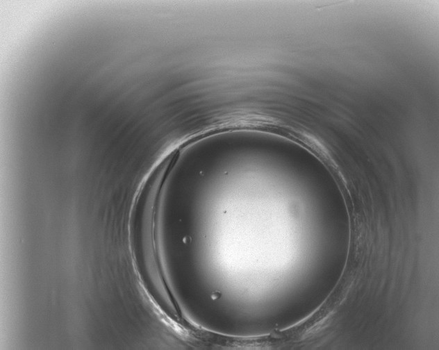 X0000061720843200512091958