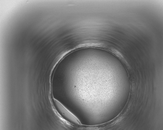 X0000061720844200512091958