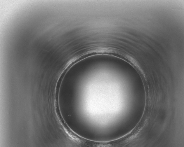 X0000061720845200512091958