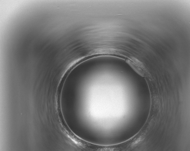 X0000061720846200512091958