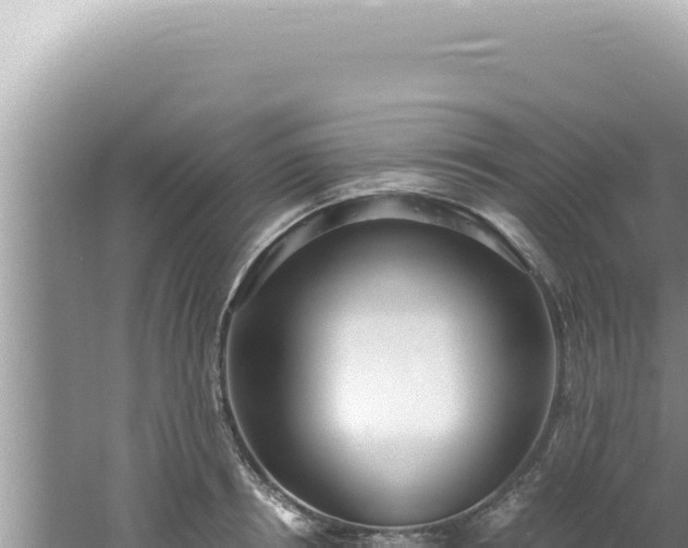 X0000061720850200512091958