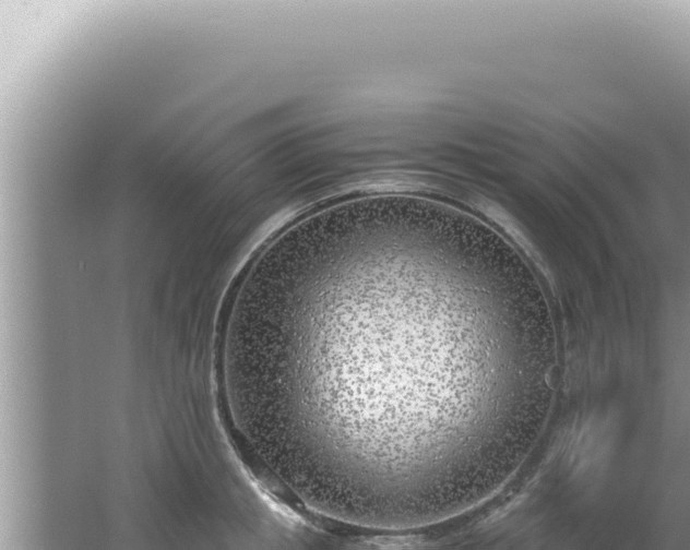 X0000061720853200512091958