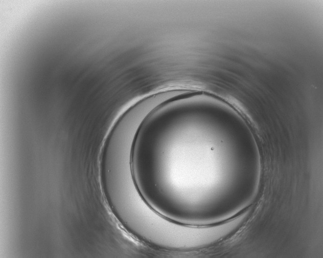 X0000061720854200512091958