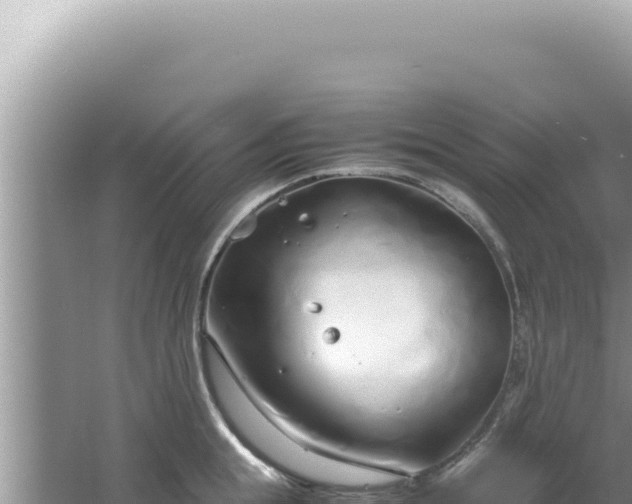 X0000061720855200512091958