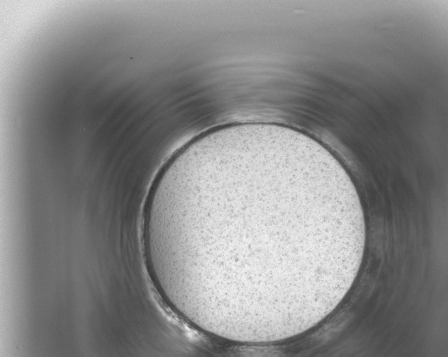 X0000061720856200512091958