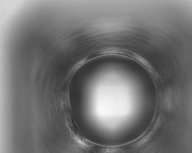 X0000061720857200512091958