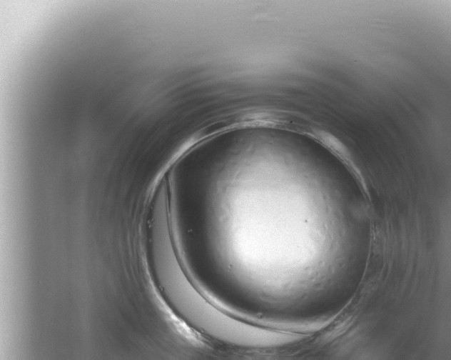 X0000061720859200512091958