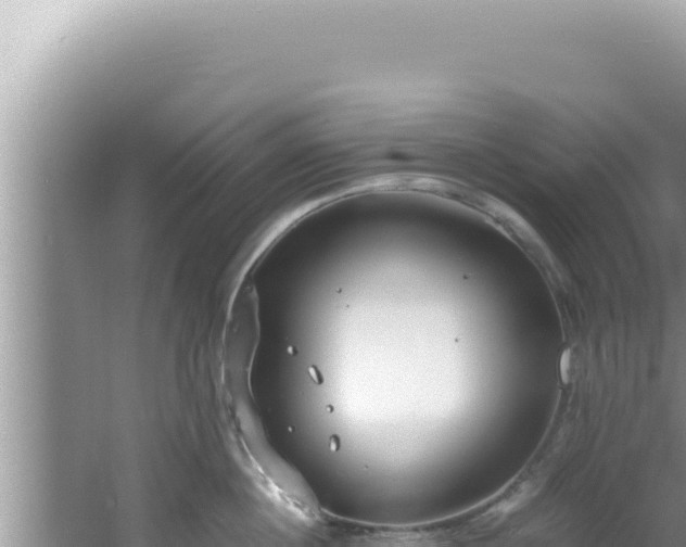 X0000061720860200512091958